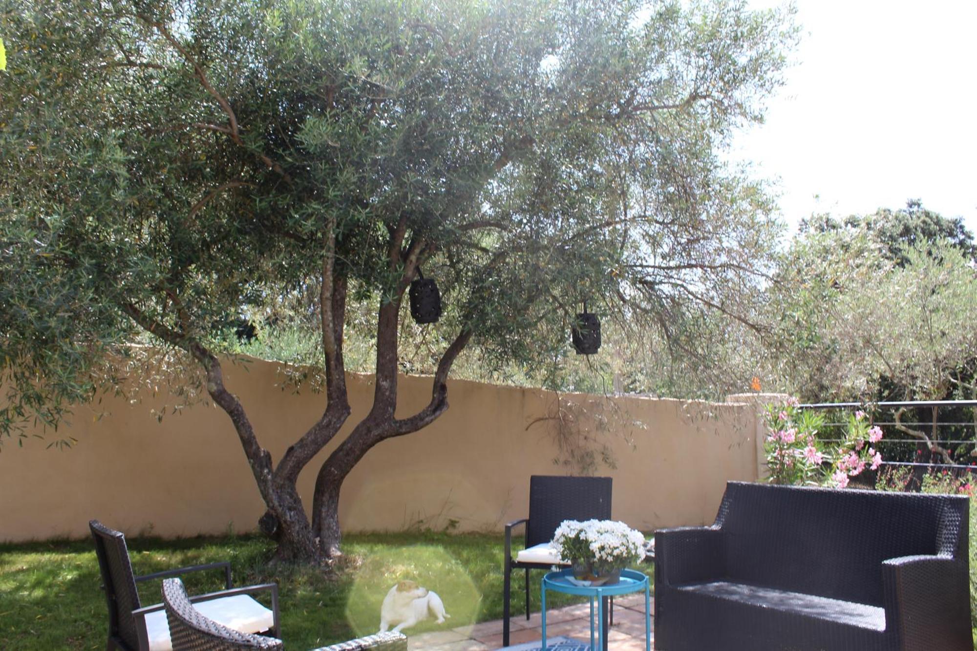 Villa Pierre Blanche Le Calme A 5Mn Du Centre Ville Nimes Exterior photo